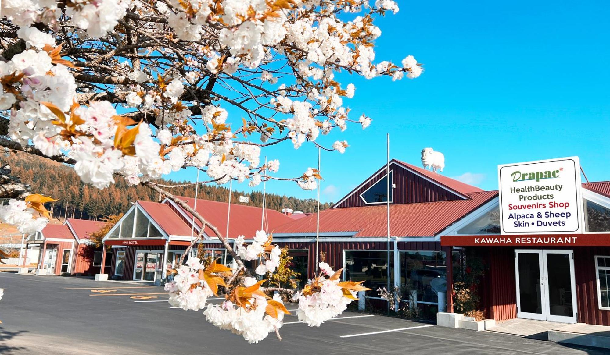 Awa Hotel Rotorua Ngoại thất bức ảnh